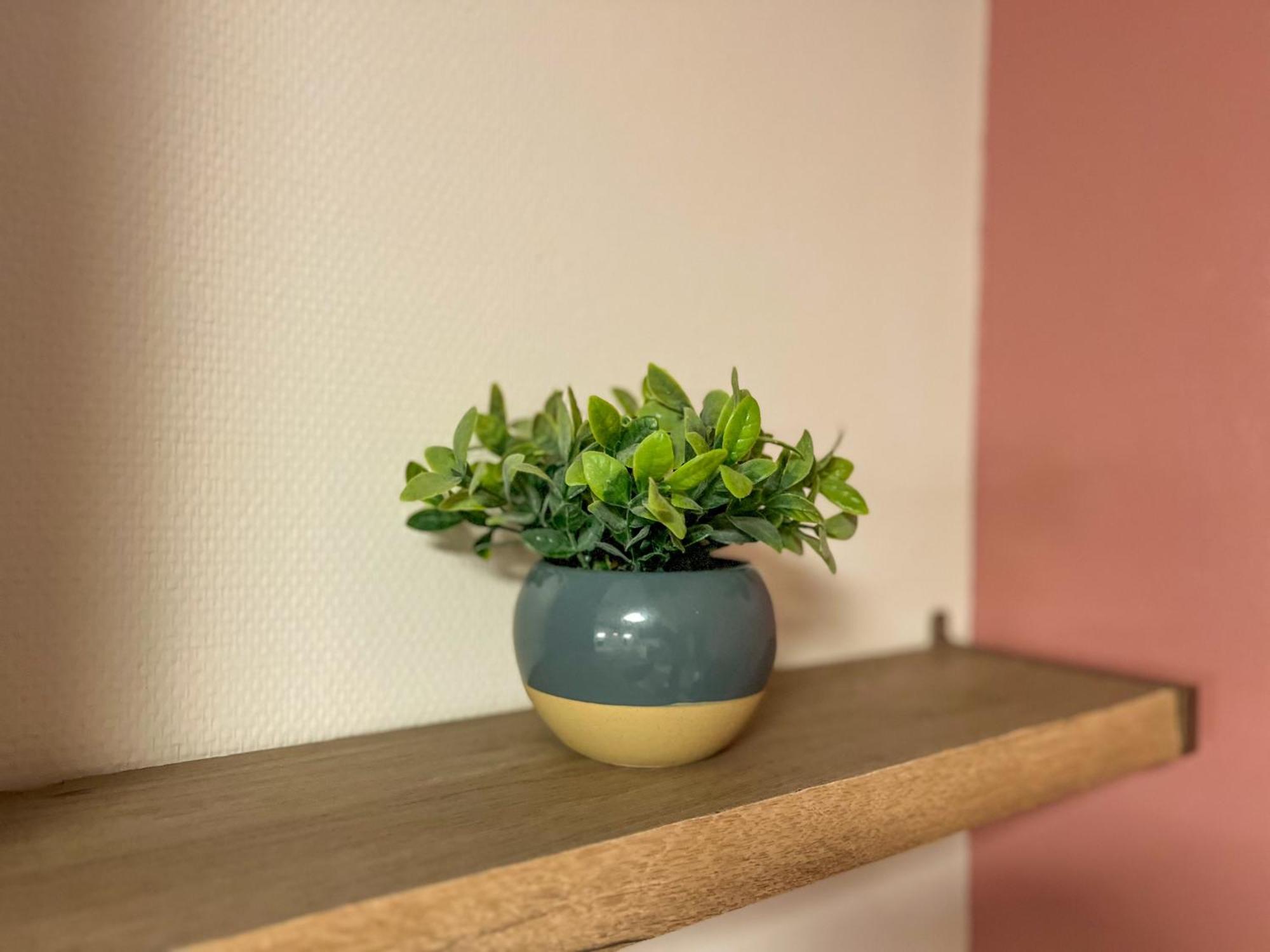 Le Montaigne - Wifi Fibre- Coeur Du Centre Ville-Property Rental Nm Périgueux Екстериор снимка