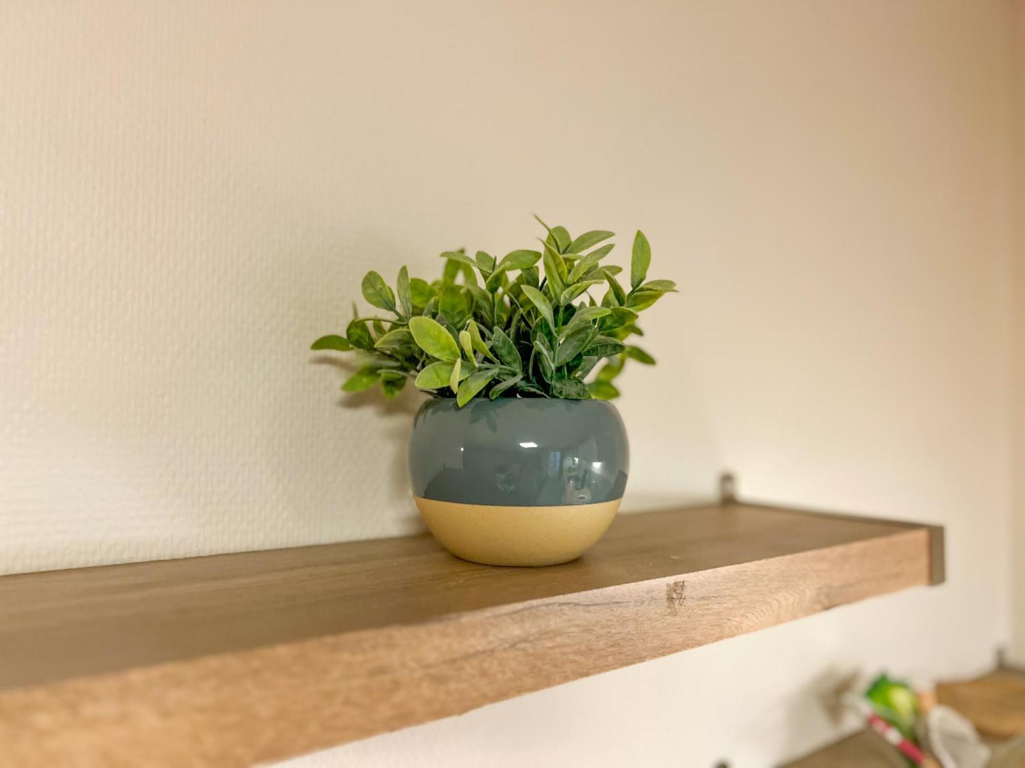 Le Montaigne - Wifi Fibre- Coeur Du Centre Ville-Property Rental Nm Périgueux Екстериор снимка
